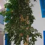 Costa Volcan Hotel